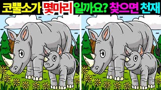 코뿔소가 몇 마리로 보이시나요? 이거 찾으면 천재! [두뇌운동/틀린그림찾기]