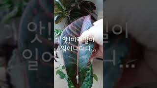 앗!세상에 이런일도 있다요.