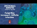 Does a Fungus-Associated Bacteriome Explain C. Difficile Infection?