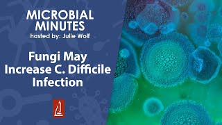 Does a Fungus-Associated Bacteriome Explain C. Difficile Infection?