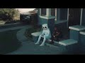 Project Dreams - Marshmallow & Roddy Ricch (1 Hour Loop)