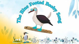 The Blue-Footed Booby Song | Animal Songs for Kids | Blue-Footed Booby Facts | Silly School Songs