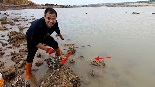 【兄弟趕海】大熊趕海專挑大媽搬不了的石頭，好貨都藏在這裏，小孩子有口福了