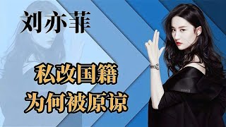 明星改国籍都被骂，为啥刘亦菲手拿美国国籍，却被网友原谅