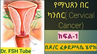 Ethiopia: ቁጥር-45 የማህጸን በር(ጫፍ) ካንሰር (Cervical Cancer) ክፍል-1