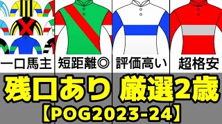 【一口馬主】まだ出資可能な隠れた逸材2歳馬3選【POG2023-24】