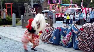 天塩町　平成30年天塩厳島神社例大祭/越中獅子舞　若き獅子達　特別版