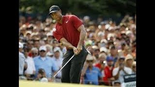 Tiger Woods Still Biggest Rock Star in Sports