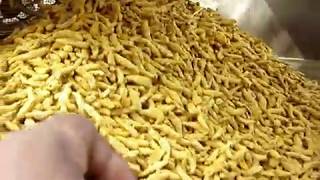 Turmeric Processing