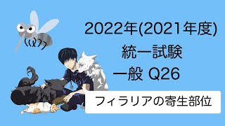 2022一般Q26『フィラリアの寄生部位』 愛玩動物看護師国家試験対策