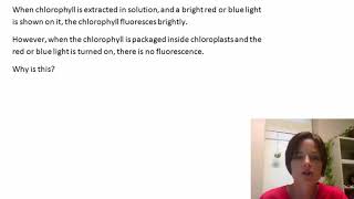 Chlorophyll fluorescence