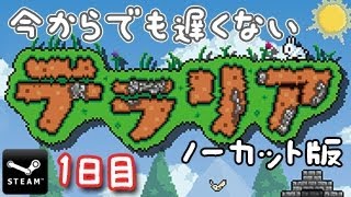 【実録】今からでも遅くない「テラリア」1日目 （もくじ付き）Terraria