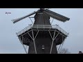 molen friesland molen welgelegen heerenveen nederland