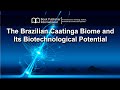 The Brazilian Caatinga Biome and Its Biotechnological Potential