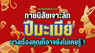 เกิดปีมะเมียหรือปีม้า l ธาตุแท้เป็นอย่างไร บางเรื่องคุณก็อาจยังไม่เคยรู้ !