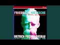 Nietzsche: Das zerbrochene Ringlein