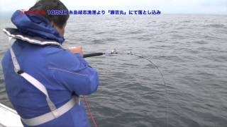 青物釣り（落し込みサビキ釣り入門）玄界灘・呼子沖