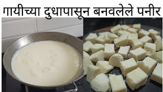 गायीच्या दुधापासून, घरी तयार केलेले पनीर| Homemade Paneer Recipe|