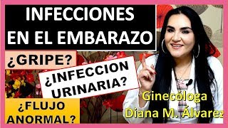 Dieta en el embarazo ginecologa diana alvarez