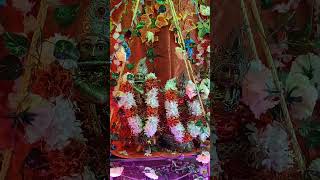 ଝୁଲରେ ନିତାଇ ଝୁଲ୍ #viralvideo #jayjagannathpuri #jagannnath #jayjaganatha