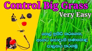 how to Control Big Grass with #coollife #easy #way @coollife  තෙල් ඉතිරි කරගෙන තණකොළ පාලනය කරගමු