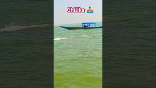 Chilika🚣ଜୟ ମା କାଳିଜାଇ🙏kalijai temple#balugaon#chilika#shorts#ytstudio#