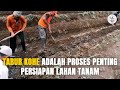 Proses Tabur Pupuk Kandang/Kotoran Hewan (Kohe)