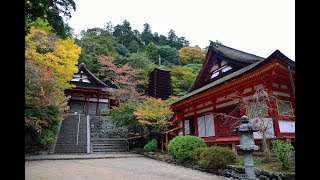 我眼追想　２０１７ 奈良県　桜井市　紅葉色づきはじめの談山神社