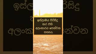 ඉක්මනින් විකාශනය සක්රිය කරන්න! \