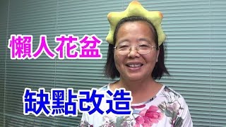 (懶人4)懶人花盆 缺點改造 DIY自動補水盆栽  self watering planter New Bottle Garden AMY TV阿美美頻道