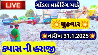 કપાસના આજના ભાવ / કપાસના બજાર ભાવ /ગોંડલ કપાસના બજાર ભાવ /આજના કપાસના બજાર ભાવ / 31.1.2025