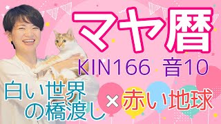 マヤ暦【KIN 166】白い世界の橋渡し 赤い地球 音10 開運ポイント