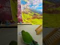 Bird Training : Smart lovebird Parrot | Smart Little Cute Parrot  #training #smartparrot #cute