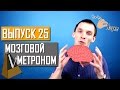 Как мозг отмеряет равные промежутки времени. Выпуск 25 | Чуть-Чуть о Науке