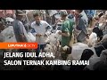 Jelang Idul Adha, Salon Khusus Ternak Kambing di Pasar Hewan Ajibarang Banjir Pelanggan | Liputan 6