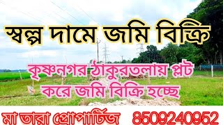 কৃষ্ণনগর - নবদ্বীপ হাই রোডের কাছে ঠাকুরতলায় প্লট করে জমি বিক্রি আছে। Land Sale in Nadia