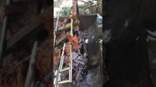 ជ្រូកខ្វៃ roasted suckling pig