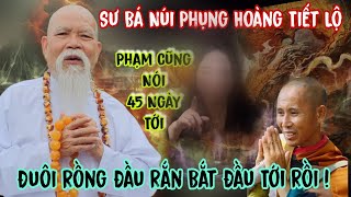 Sư Bá Ẩn Tu Núi Phụng Hoàng Cảnh Báo  Kỳ 3 Dịch Bệnh Thiên Tai Nge Mà Ớn Lạnh | Lâm An Giang