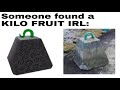 BLOX FRUITS MEMES 3 | DEVIL FRUIT MEMES