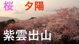 香川県 紫雲出山の桜並木と夕陽 / Mt. Shiude \u0026 Cherry Blossoms ( Kagawa, Japan )【おうちで旅気分！】