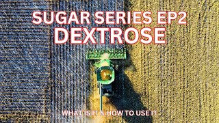 What is Dextrose? Sugar Series Ep2