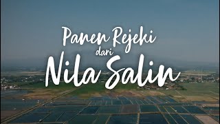 Panen Rejeki dari Nila Salin