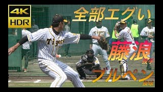 角度も直球も変化球も全部凄い！藤浪晋太郎投手試合前の30分近いブルペン投球を凝縮して！なぜ抑えれないか分からない！【４K超高画質】