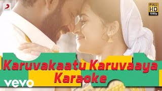 Maruthu - Karuvakaatu Karuvaaya Karaoke | Vishal, Sri Divya | D. Imman