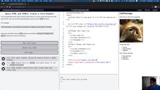 freeCodeCamp: Create a Form Element