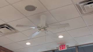 Bonus Video Kichler Basic Pro Ceiling Fan At A Tropical Smoothie Cafe