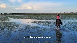 Safari in Los Llanos Orientales, Colombia