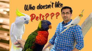 Who Doesn't like pets?? | Abudhabi Birds | Fish \u0026 Pets Market | Malayalam