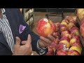 Fresh Grocer: Honeycrisp Apples