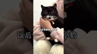 以后 你就叫申小豹了哪吒 哪吒之魔童闹海黑猫警长